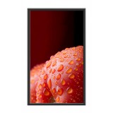 Narrow Bezel 70" LED Display - Indoor Series - 700 nits - 1080p (FullHD)