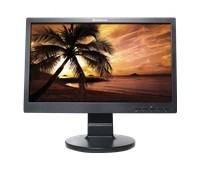 Lenovo LS1922 - LED monitor - 18.5"